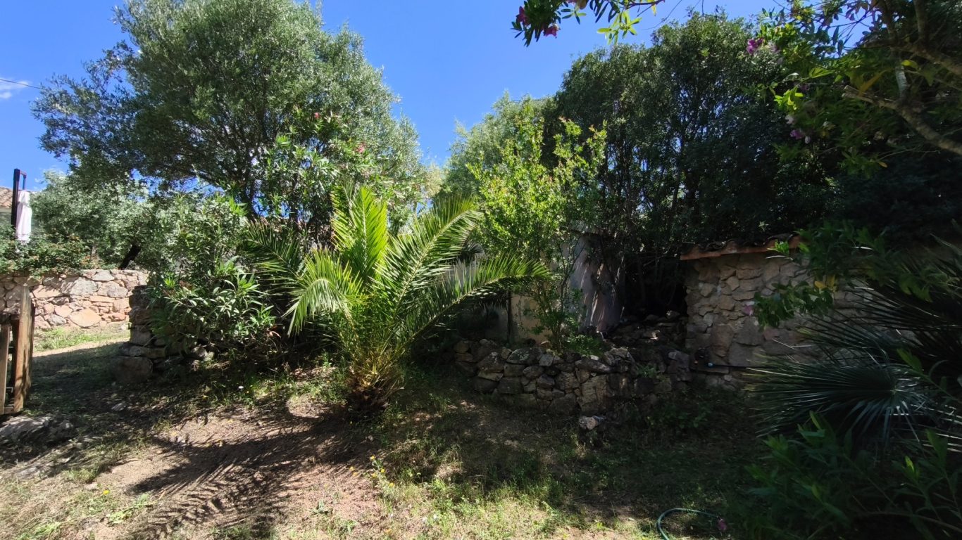 Im Garten Im Garten