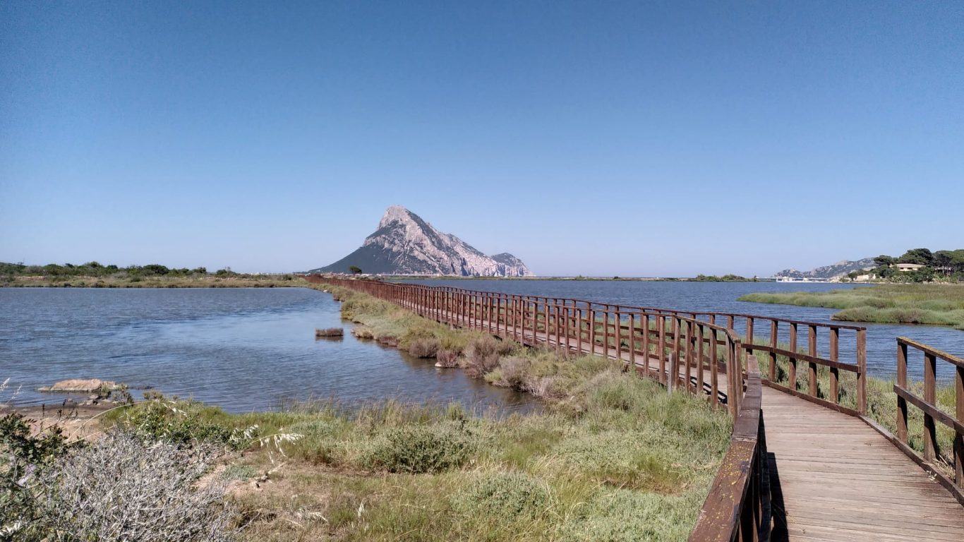 Isola Tavolara Isola Tavolara